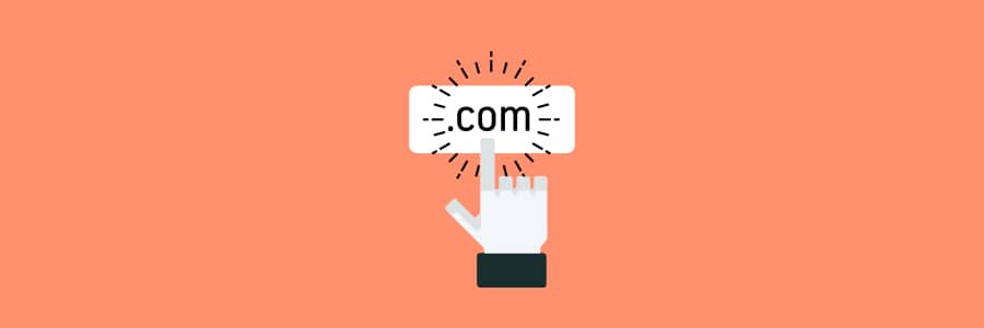 What is a Domain Name?